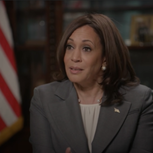 US-Vietnam relations: What is reality of diplomatic „pressures“?