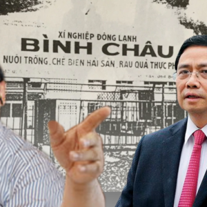 Vụ án Trịnh Vĩnh Bình kiện chính phủ Việt Nam: ‚Đòi con voi mà nhận quả táo‘