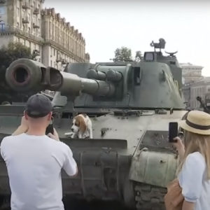 Ukraine War and Vietnam’s „double standards“