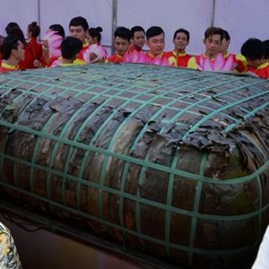 Nguyễn V. Hùng Bộ trưởng Văn hóa „mít đặc“ nhưng vẫn thích nổ