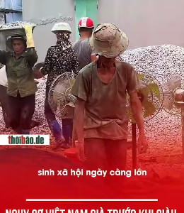 NGUY CƠ VIỆT NAM GIÀ TRƯỚC KHI GIÀU
