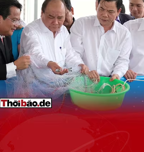 KHÔNG NGƯỜI ĐỊA PHƯƠNG: TRÒ XOAY GHẾ HAY DIỆT LỢI ÍCH NHÓM?