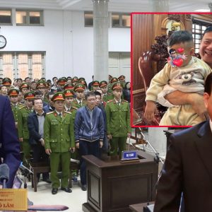 Căn Nhà Gỗ“ Và Kịch Bản Hoán Đổi 800 Tỷ Đồng