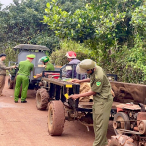 Công an xã “lùng bánh mì” đến tận nương bản.