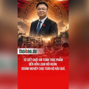 Từ siết chặt an toàn thực phẩm đến hỗn loạn rồi hoãn: Doanh nghiệp chịu toàn bộ hậu quả.