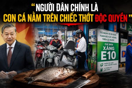 Người dân chính là con cá nằm trên chiếc thớt độc quyền