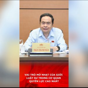 Vai trò mờ nhạt của giới luật sư trong cơ quan quyền lực cao nhất.