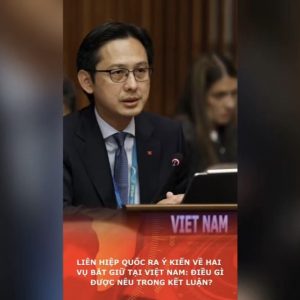 Liên hiệp quốc ra ý kiến về hai vụ bắt giữ tại Việt Nam: Điều gì được nêu trong kết luận?