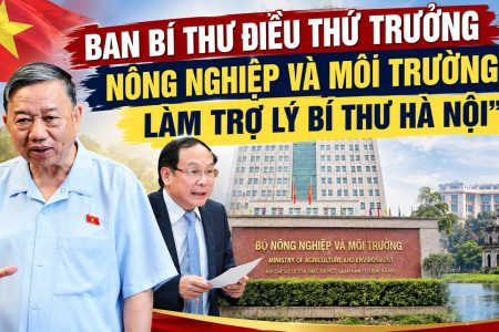 Ban bí thư điều thứ trưởng nông nghiệp và môi trường làm trợ lý bí thư Hà Nội