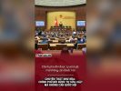 Chuyện thật như đùa: Chính phủ đòi được tự sửa luật mà không cần Quốc hội